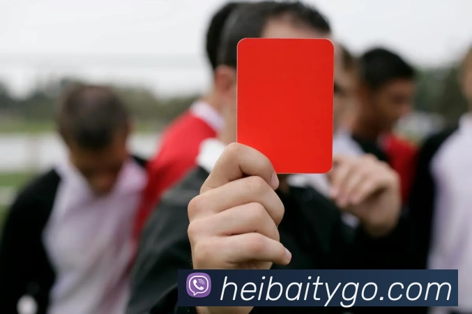 黑白体育APP发展历程